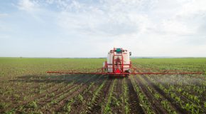 Annulation des chartes pesticides de 5 départements !