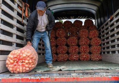 De faux primeurs ambulants à l’assaut des particuliers